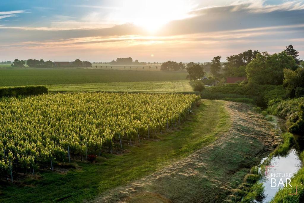 Wine-Barrel Rivaner Dreischor Dış mekan fotoğraf