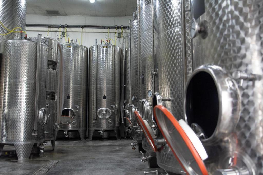 Wine-Barrel Rivaner Dreischor Dış mekan fotoğraf